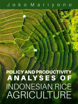 Policy and Productivity