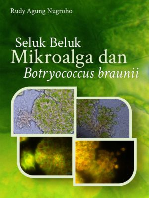 Seluk Beluk Mikroalga dan Brotyococcus braunii