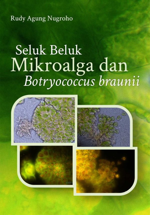 Seluk Beluk Mikroalga dan Brotyococcus braunii